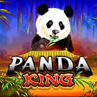 Panda King in Ainsworth
