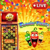 4Up - Flamin Fiesta in Featured