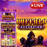 Buffalo Ascension in Featured