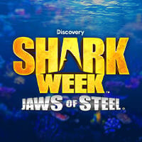 Jaws of Steel in Top_Everi