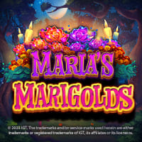 Maria's Marigolds in All