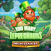 Too Many Leprechauns High Stakes in All Games