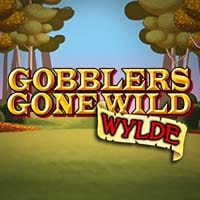 Gobblers Gone Wylde in Top_High5