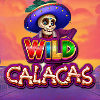 Wild Calacas in All