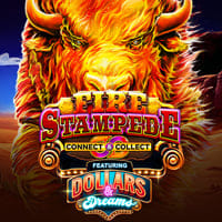Fire Stampede Dollars and Dreams in New Games