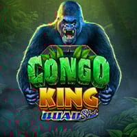 Congo King in Ainsworth