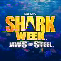 Jaws of Steel in Top_Everi