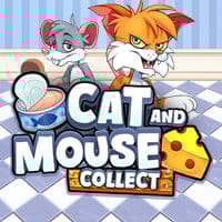 Cat And Mouse: Collect in All