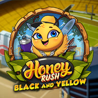 Honey Rush Black and Yellow in All